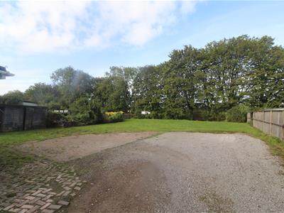 Picture 11